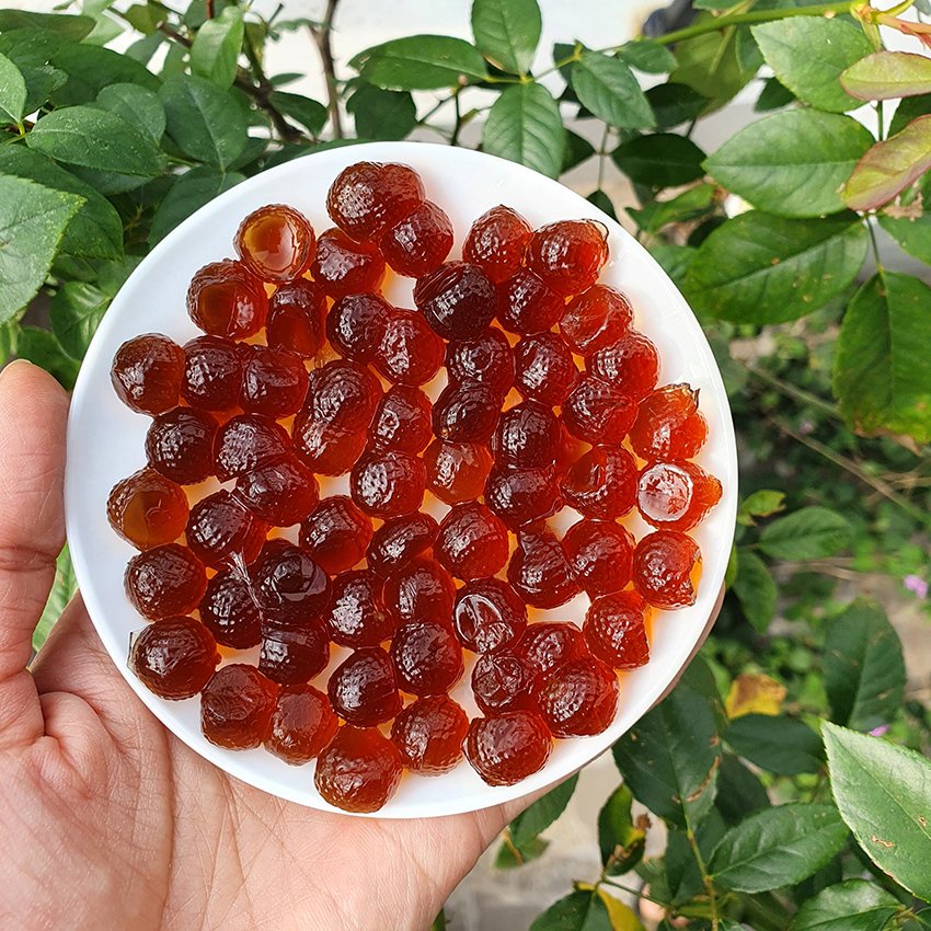 trân châu 3q